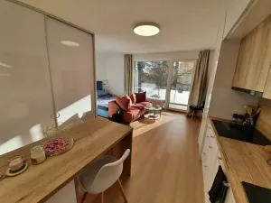 Pronájem bytu 1+kk, Jihlava, U Cihelny, 40 m2