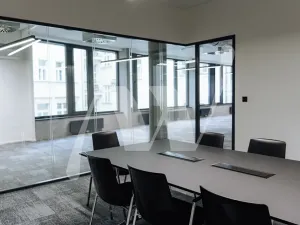 Pronájem kanceláře, Praha - Nové Město, Václavské náměstí, 326 m2