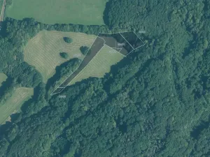 Prodej louky, Veřovice, 9985 m2