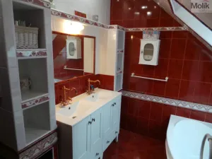 Prodej rodinného domu, Velemín - Milešov, 255 m2