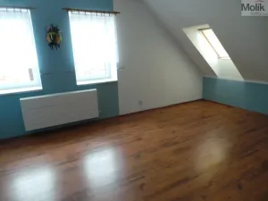 Prodej rodinného domu, Velemín - Milešov, 255 m2