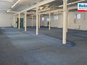 Pronájem obchodního prostoru, Liberec, Dr. Milady Horákové, 610 m2