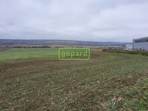 Prodej pozemku, Starovice, 5036 m2