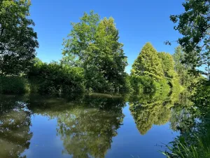 Prodej louky, Šestajovice, 3641 m2