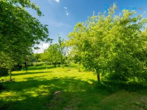 Prodej bytu 2+1, Frýdek-Místek, Panské Nové Dvory, 62 m2