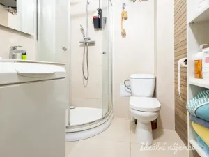 Pronájem bytu 2+kk, Praha - Karlín, Březinova, 50 m2