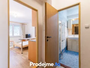 Pronájem bytu 1+kk, Dobšice, V Zahradách, 29 m2