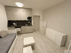 Pronájem bytu 1+kk, Olomouc, Wolkerova, 26 m2