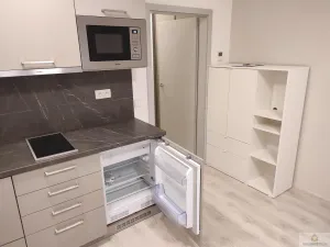 Pronájem bytu 1+kk, Olomouc, Wolkerova, 26 m2