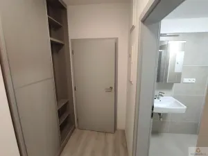 Pronájem bytu 1+kk, Olomouc, Wolkerova, 26 m2