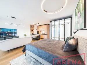 Pronájem bytu 1+kk, Brno, Nové sady, 54 m2