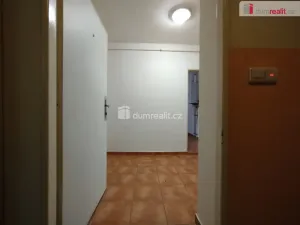 Pronájem bytu 2+1, Cheb, Hálkova, 52 m2