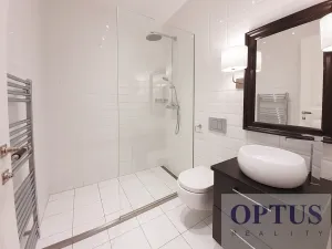 Pronájem bytu 5+kk, Praha - Staré Město, Dušní, 172 m2