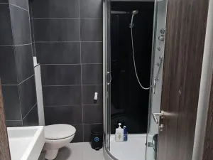 Pronájem bytu 1+kk, Brno - Brno-město, 24 m2