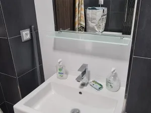 Pronájem bytu 1+kk, Brno - Brno-město, 24 m2