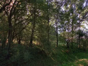 Pronájem zahrady, Ostrava, 1114 m2