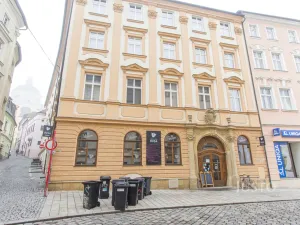 Pronájem bytu 3+kk, Olomouc, Michalská, 142 m2