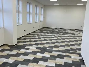 Pronájem kanceláře, Sedliště, 553 m2