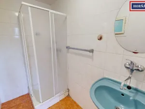 Prodej rodinného domu, Dražovice, 202 m2