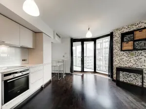 Pronájem bytu 1+kk, Praha - Žižkov, Pitterova, 47 m2