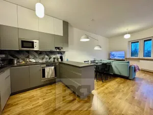 Pronájem bytu 3+kk, Brno, Drobného, 82 m2