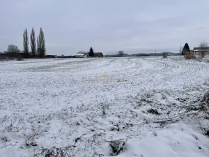 Prodej pozemku pro bydlení, Libuň, 4494 m2