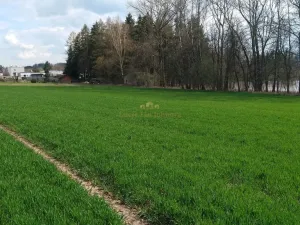 Prodej pozemku pro bydlení, Libuň, 4494 m2