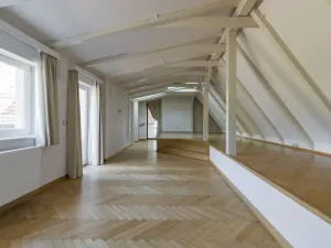 Pronájem bytu 5+1, Praha - Malá Strana, Újezd, 286 m2