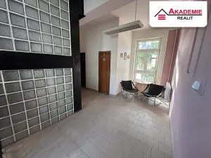 Pronájem pokoje, Brno, Bezručova, 20 m2