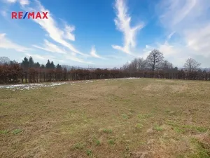 Prodej pozemku pro bydlení, Rychvald, Vléčná, 806 m2