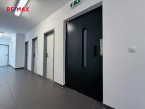 Pronájem bytu 2+kk, Zbůch, U Trati, 49 m2