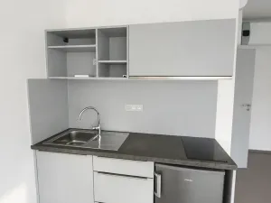 Pronájem bytu 1+kk, Brno, Branka, 28 m2