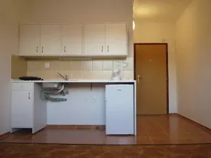 Pronájem bytu 1+kk, Plzeň, Na Dlouhých, 20 m2