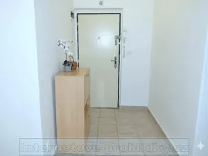 Pronájem pokoje, Praha - Břevnov, Bělohorská, 22 m2