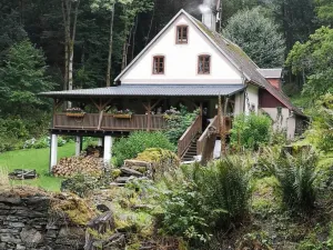 Prodej rodinného domu, Stráž nad Ohří - Srní, 300 m2