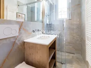 Pronájem bytu 4+kk, Praha - Vinohrady, Hradešínská, 120 m2