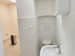 Pronájem kanceláře, České Budějovice - České Budějovice 3, Skuherského, 33 m2