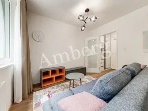 Pronájem bytu 1+kk, Praha - Vinohrady, Perucká, 26 m2