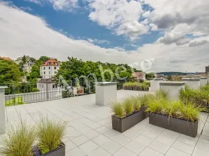 Pronájem bytu 1+kk, Praha - Vinohrady, Perucká, 26 m2