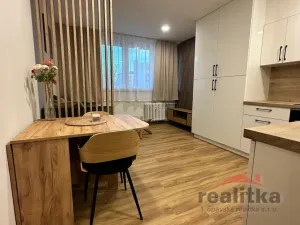 Prodej bytu 1+kk, Opava - Kateřinky, Grudova, 21 m2