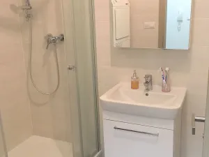 Pronájem bytu 1+kk, Brno - Žebětín, Lišejníková, 29 m2