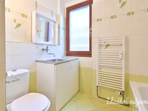 Pronájem bytu 1+kk, Brno, Slovákova, 24 m2