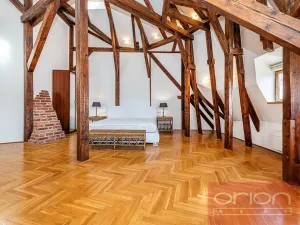 Pronájem bytu 4+1, Praha - Vinohrady, Ibsenova, 305 m2