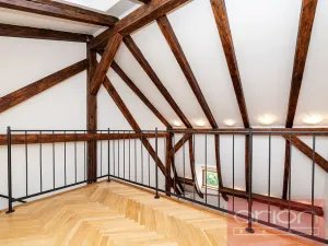 Pronájem bytu 4+1, Praha - Vinohrady, Ibsenova, 305 m2