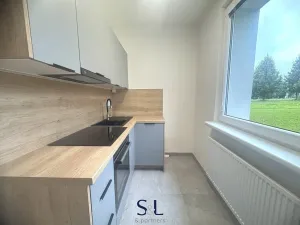 Pronájem bytu 1+1, Liberec, Česká, 38 m2