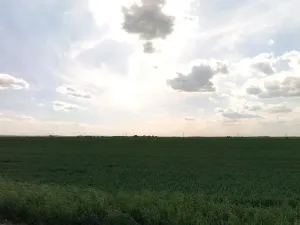 Prodej podílu pole, Vykáň, 38867 m2