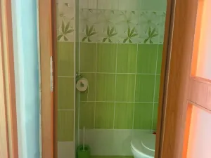 Pronájem bytu 3+1, Pardubice, kpt. Bartoše, 71 m2