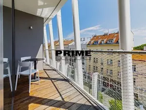 Pronájem bytu 4+kk, Praha - Smíchov, Holečkova, 212 m2