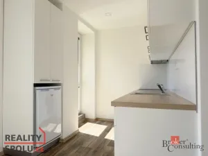 Pronájem bytu 1+1, Opava - Předměstí, Polní, 35 m2