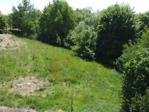 Prodej pozemku pro bydlení, Pařezov, 2050 m2